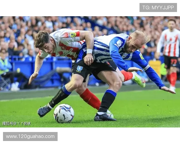 桑德兰足球俱乐部历史传承与现代发展路径探索