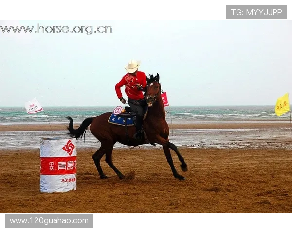 世界网球赛场风云变幻 新星崛起老将再战 全面解析最新赛事动态