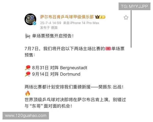 德甲乒乓球联赛简介及其在德国乒乓球赛事中的重要性解析