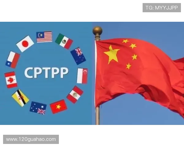 全球电竞格局重塑各大俱乐部掀起新一轮选手转会与战术革新浪潮