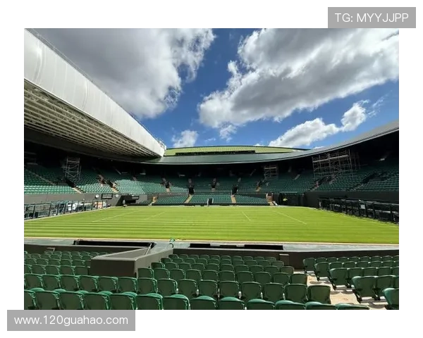 温网为何不称英网背后的历史与文化因素解析